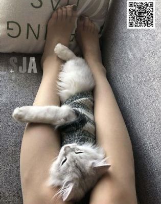 密爱电影版完整版_720高清在线