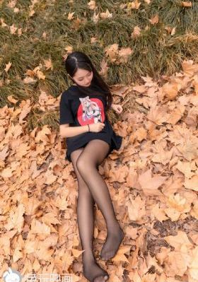 免费看电视剧在线看_BD国语HD在线观看